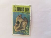 [Prehistoric Animals - Fossils from the Luangwa Area, type CO]