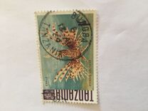 [Peces., tipo Z]