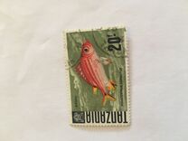 [Peces., tipo AF]
