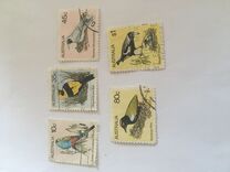 [Birds, Tip UG]