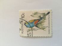 [Birds, Tip UG]