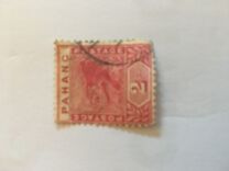 [Tiger, type C1]