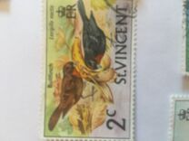 [Birds, Tip CT]