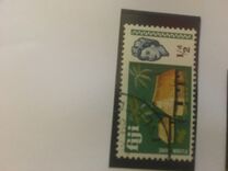 [Local Motives and Queen Elizabeth II, type DN]