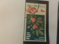 [Local Motives and Queen Elizabeth II, type DO]