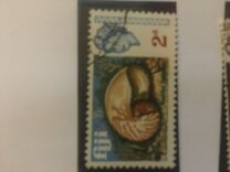 [Local Motives and Queen Elizabeth II, type DP]