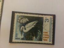 [Local Motives and Queen Elizabeth II, type DQ]