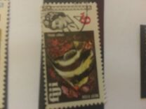 [Local Motives and Queen Elizabeth II, type DS]