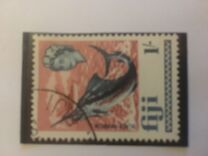 [Local Motives and Queen Elizabeth II, type DV]