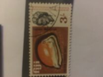 [Local Motives and Queen Elizabeth II, type DZ]