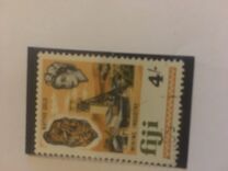 [Local Motives and Queen Elizabeth II, type EA]