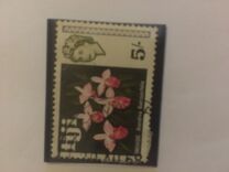 [Local Motives and Queen Elizabeth II, type EB]