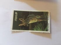 [Wild Mammals, type HI]