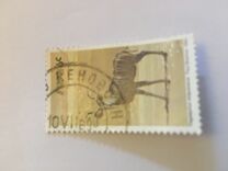 [Wild Mammals, type HN]