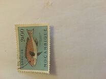 [Fish, Вид CI]