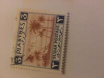 [Palm Trees, jenis P1]