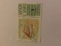 [Animals, 유형 GD]