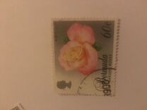 [Old Garden Roses, タイプ PR]