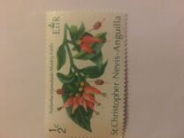 [Indigenous Flora, tip DF]
