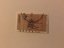 [Wild Mammals, type HL]
