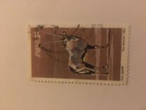 [Wild Mammals, type HM]