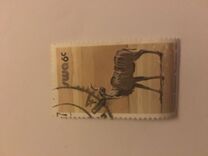 [Wild Mammals, type HN]