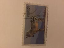 [Wild Mammals, type HO]