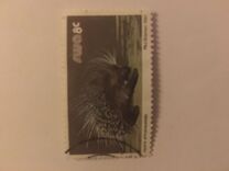 [Wild Mammals, type HP]