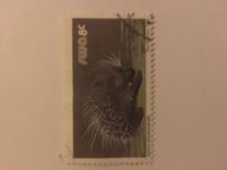 [Wild Mammals, type HP]