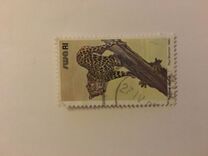 [Wild Mammals, Tip HX]