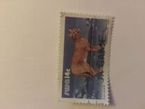 [Wild Mammals, tyyppi LP]