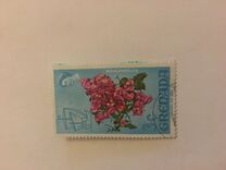 [Fauna and Flora, type CV]