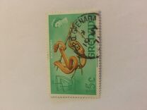 [Fauna and Flora, type DB]