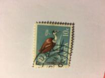 [Birds, type Z]