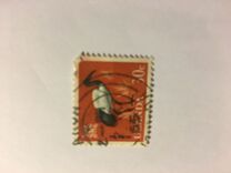 [Birds, type AC]