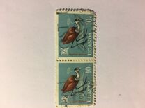 [Birds, type Z]