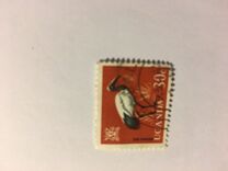 [Birds, type AC]