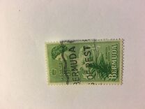 [Local Motives and Queen Elizabeth II, type AZ]