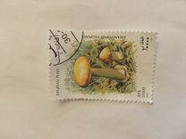 [Mushrooms, प्रकार AVH]