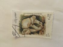 [Mushrooms, प्रकार AVJ]