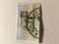 [Wild Mammals, type MG]