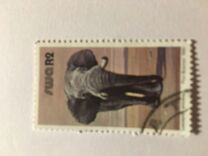 [Wild Mammals, type HY]