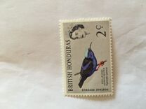 [Birds, տեսակ BT]