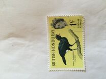 [Birds, տեսակ BS]