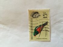 [Pájaros., tipo BY]