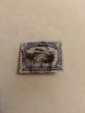 [Pan-American Exposition Issue, प्रकार CV]