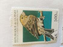 [Birds, type APV]
