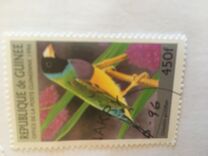 [Birds, type ASC]