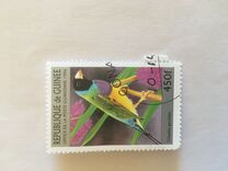 [Birds, type ASC]