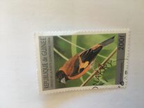 [Birds, type ARY]